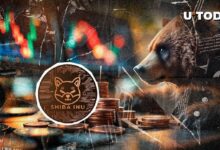 التحركات الهبوطية غير المتوقعة لشيباإينو (SHIB): تابع مستويات الأسعار الحاسمة الآن!