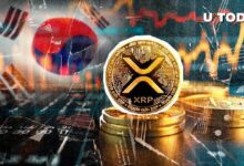 لغز XRP بقيمة 95 مليون دولار يذهل أكبر بورصة في كوريا: هل تستعد لموسم صعودي؟ اكتشف المزيد!