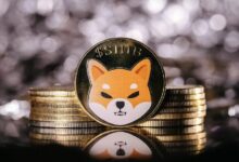 معدل حرق شيبا إينو يقفز 600% في يوم واحد؛ ما الخطوة التالية لسعر SHIB؟ اكتشف الآن!