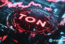 خطط TON لإطلاق شبكة دفع بتقنية الطبقة الثانية - اكتشف كيف سيتغير مستقبل الدفع الرقمي!
