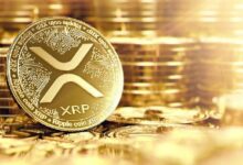 ارتفاع الطلب على XRP بفضل تفاؤل ETF بينما تعاني صناديق إيثريوم من نزيف 255 مليون دولار - اكتشف الآن التفاصيل!