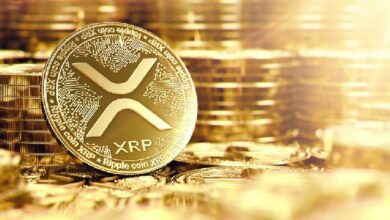 ارتفاع الطلب على XRP بفضل تفاؤل ETF بينما تعاني صناديق إيثريوم من نزيف 255 مليون دولار - اكتشف الآن التفاصيل!