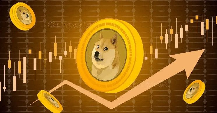 هل حان وقت شراء DOGE؟ الحيتان تستحوذ على مليار عملة ميم! اكتشف التفاصيل الآن