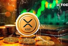 اختراق ملحمي لـXRP أمام بيتكوين وإيثريوم - اكتشف التفاصيل الآن!