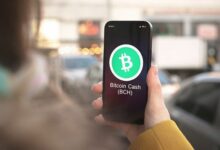 توقعات سعر بيتكوين كاش: هل سيصل BCH إلى 700 دولار؟ اكتشف الآن!