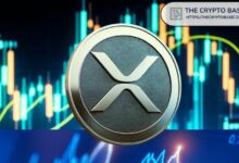 FOX Business: عملة XRP هي الأبرز الآن - اكتشف السبب!