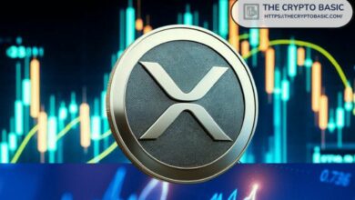 FOX Business: عملة XRP هي الأبرز الآن - اكتشف السبب!