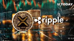 XRP في 2025: ماذا ينتظر ريبل؟ اكتشف تحليل أوستن كينغ