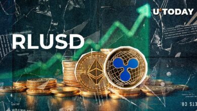 تعرّف على الخلل 300% الذي شهدته Ripple USD (RLUSD) في إيثيريوم مقابل دفتر XRP!