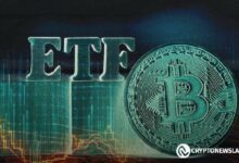 تدفقات صناديق بيتكوين ETF ترتفع مع استجابة المستثمرين المؤسسيين لانخفاض مؤشر أسعار المستهلك الأساسي | اكتشف المزيد!