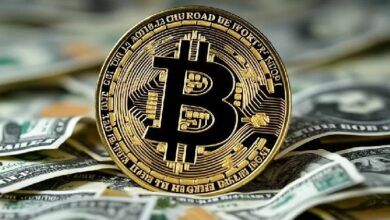 لماذا انخفض بيتكوين (BTC)؟ لماذا ارتفع؟ ما السبب الرئيسي وراء الصعود؟ تحليل شامل من شركات الخبرة!