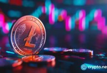 ارتفاع سعر لايتكوين مع تصاعد الآمال في ETF، ولكن هناك تحذير مهم