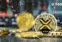 ارتفاع XRP إلى أعلى مستوى له في شهر وسط ضجة صندوق الاستثمار المتداول - اكتشف التفاصيل!