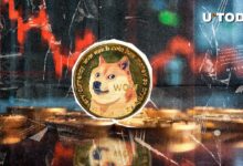 دوجكوين (DOGE) ينخفض بنسبة 12% في غضون ساعات: هل هي فرصة للشراء؟