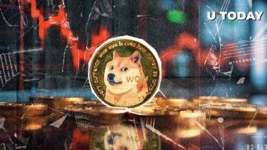 دوجكوين (DOGE) ينخفض بنسبة 12% في غضون ساعات: هل هي فرصة للشراء؟