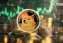 شاهد قفزة دوجكوين بنسبة 83٪ هذا يناير إذا تحقق تاريخ أسعار DOGE!