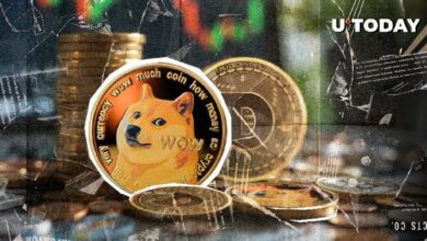 93٪ من مستثمري دوجكوين (DOGE) يحققون أرباحًا: هل حان وقت الصعود؟