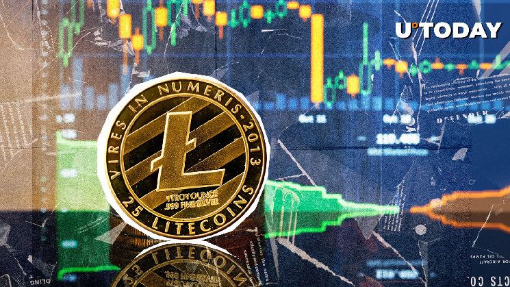 لايتكوين (LTC) يحقق إنجازاً كبيراً في بداية عام 2025: اكتشف التفاصيل الآن