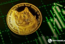 القيمة المنخفضة لـ DOGE والمشاعر الاجتماعية تشير إلى احتمال تحقيق ارتفاع - اكتشف المزيد الآن