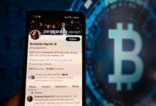 هل سيصل سعر البيتكوين إلى 50 ألف دولار لو كانت كامالا هاريس رئيسة؟ اكتشف الآن!