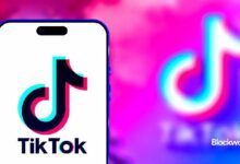 حظر تيك توك المحتمل في أمريكا يرفع قيمة ميم كوين الصينية بنسبة 100x - اكتشف التفاصيل الآن!