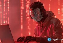 تشيناليسيس: اكتشف خصائص البامب أند دامب في أكثر من 4.5% من التوكنات المُطلقة عام 2024!
