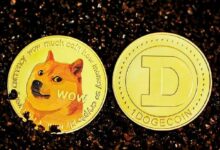 دوجكوين (DOGE) يسجل رقماً قياسياً جديداً! اكتشف تأثير ذلك على السعر الآن!