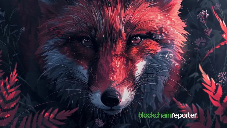 انضمام OpenLoop إلى FoxWallet لتعزيز الشبكة اللامركزية: اكتشف المزيد الآن!