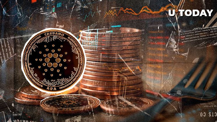شبكة كاردانو بعد تفعيل تحديث بلوك تشين بلومين: تنبيه أمني هام أصدر الآن!