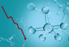 انخفاض BioProtocol (BIO) في ساعات التداول الأولى رغم الضجة حول DeSci - اكتشف المزيد الآن!