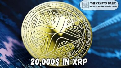 رحلة XRP نحو 20,000$ - خبراء يذكرون محركات محتملة قد تحول الحلم إلى واقع! اكتشف التفاصيل