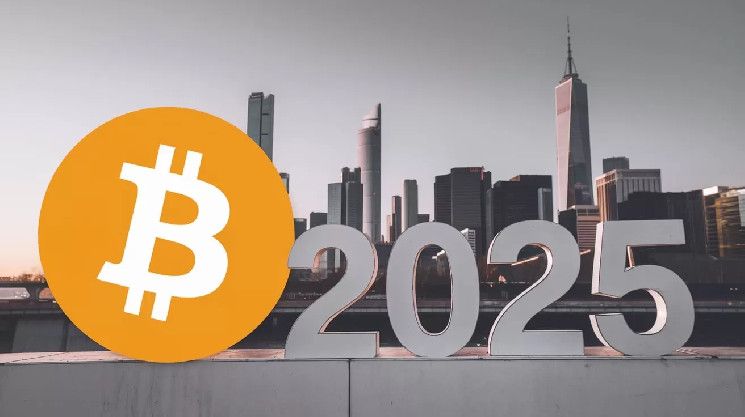 أستاذ مالي مرموق يكشف التوقعات لسعر البيتكوين في عام 2025