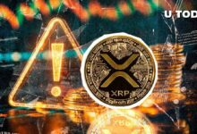 مساهم كبير في XRP يُصدر تحذيرًا مهمًا مع اقتراب ابتكار RLUSD كبير - اكتشف التفاصيل!