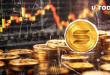 سيطرة سولانا (SOL) على إثريوم (ETH): قفزة هائلة في التقلبات - اكتشف التفاصيل الآن!