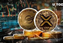 XRP يدافع عن عرشه بينما تفقد XLM زخمها – اكتشف التفاصيل الآن!