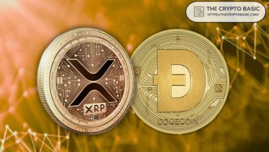 معدلات تمويل XRP وDogecoin تشير إلى ارتفاع في تعافي السوق - اكتشف التفاصيل الآن!