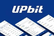 بورصة البيتكوين Upbit تعلن إضافة 6 مجموعات NFT جديدة إلى سوق NFT! اكتشف التفاصيل الآن