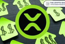 خبير يكشف أولويات XRP قبل معالجة أكثر من 434 مليار دولار يومياً - اكتشف الآن التفاصيل!
