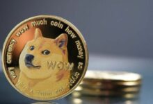 هل يمكن لسعر دوجكوين الارتفاع لمدة 3 أشهر متتالية؟ أداء السوق الصاعد 2021 يقول نعم - اكتشف المزيد الآن!