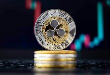 عملة XRP تتطلع للوصول إلى 100 دولار في هذه الدورة إذا تحقق النموذج التاريخي، وفقًا للمحلل الفني