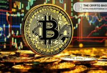 اكتشف كم يوم متبقٍ للوصول إلى قمة سوق بيتكوين - رؤى الخبراء تنتظرك