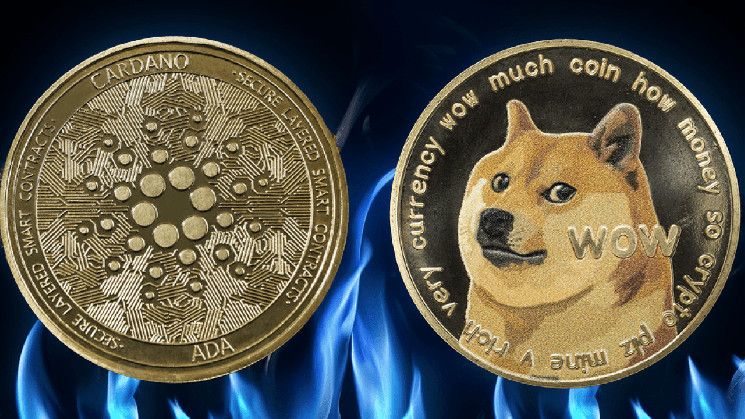 ADA و DOGE تتصدران المشهد مع وصول اقتصاد العملات المشفرة إلى 3.48 تريليون دولار قبيل عطلة نهاية الأسبوع - اكتشف التفاصيل!