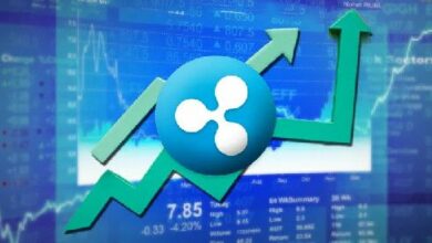 لماذا تحظى XRP باهتمام السوق: اكتشف الاتجاهات الرئيسية والرؤى