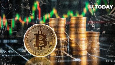 سعر بيتكوين (BTC) يتفوق هذا العام بالفعل، اكتشف الطريقة الآن