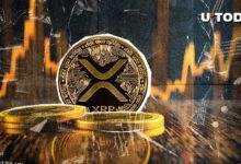 تقلب سعر XRP يتقلص - اكتشف المزيد الآن!