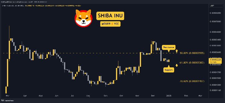 توقعات سعر شيبا إينو (SHIB) لهذا الأسبوع: اكتشف الاتجاه القادم الآن