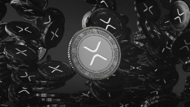 ارتفاع XRP إلى أعلى سعر له في 7 سنوات مع عودة صعود ميم كوينز ضمن XRP ليدجر - اكتشف التفاصيل الآن!