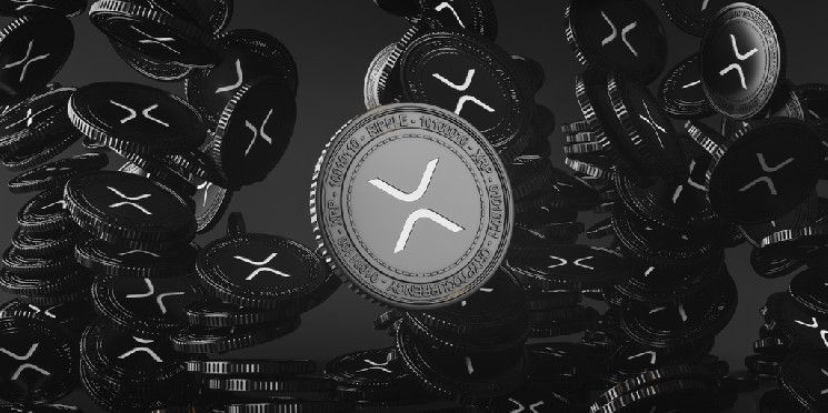 ارتفاع XRP إلى أعلى سعر له في 7 سنوات مع عودة صعود ميم كوينز ضمن XRP ليدجر - اكتشف التفاصيل الآن!