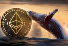 حيتان الإيثريوم تواصل التجميع مع اقتراب سعر ETH من 3500 دولار - اكتشف المزيد الآن!