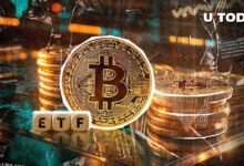 صندوق تداول بيتكوين: تدفق نقدي صفر يعيد تشكيل توقعات سعر BTC - اكتشف المزيد الآن!